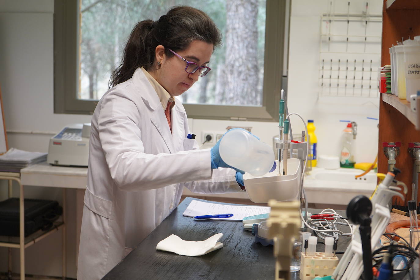 Prodestur realiza el control sanitario de 24 piscinas públicas