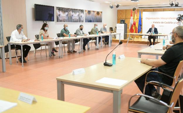 Nace la Interprofesional de la Patata de Castilla y León tras más de cinco años de intentos