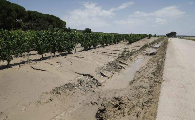 Los Bomberos de Peñafiel intervienen en la carretera Pesquera de Duero-Renedo de Esgueva