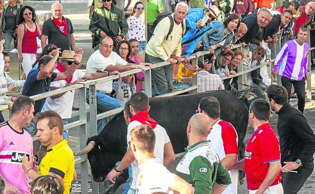 La pandemia arruina en Castilla y León más de dos mil espectáculos taurinos