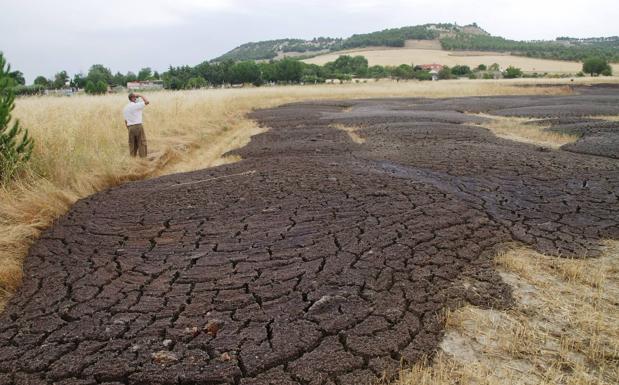 Investigan un vertido de residuos junto a unos chalés en Mojados