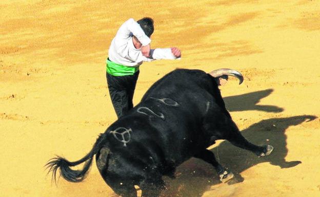 Cuéllar impulsa la celebración de un festejo de cortes el día 22 de agosto