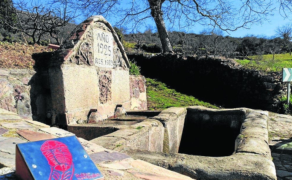 Monsagro: Huellas fósiles que nos transportan al pasado