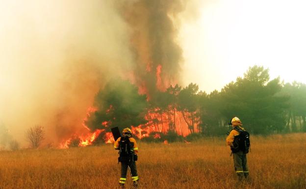 Un gran fuego en Vega de Magaz moviliza a numerosos efectivos por su virulencia