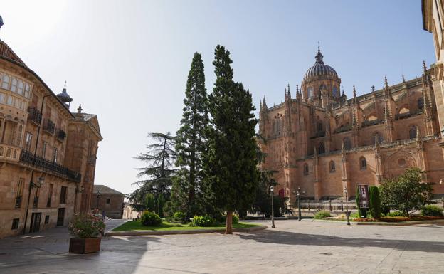 El Consistorio pide fondos al Gobierno para arreglar Anaya