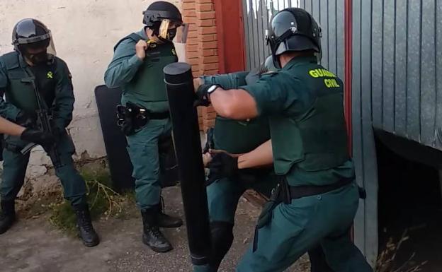 Desmantelan un cultivo masivo de marihuana en una nave de Valladolid a cargo de dos esclavos