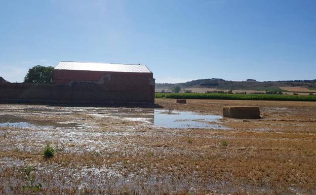 Tercer reventón en dos meses en la tubería general del Canal de Riaza a la altura de Valbuena de Duero