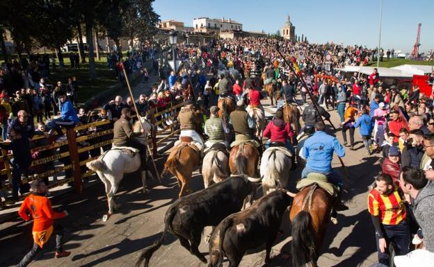 Ciudad Rodrigo descarta celebrar el Carnaval del Toro fuera de su fecha