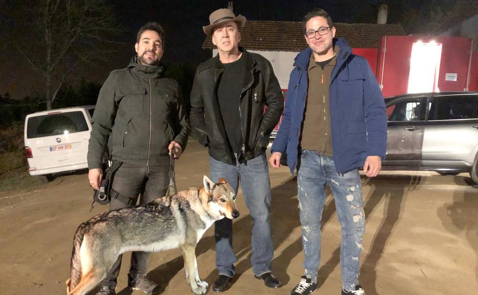 Los perros leoneses que rodaron con Nicolas Cage