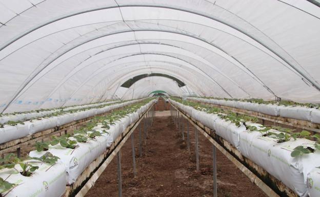 Sanidad pasa el brote de Chañe de activo a abierto por no haber habido positivos en siete días