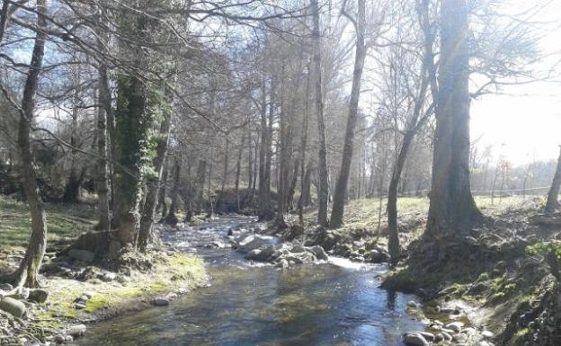 La CHD invierte 710.000 euros en actuaciones de mejora de cauces de Zamora