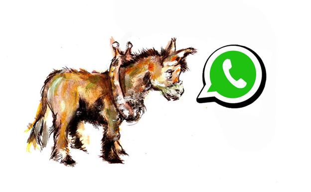 Sócrates y los callejones de bits