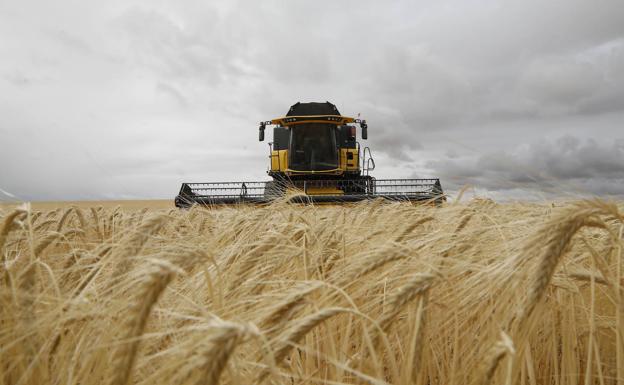 El seguro agrario vuelve a crecer