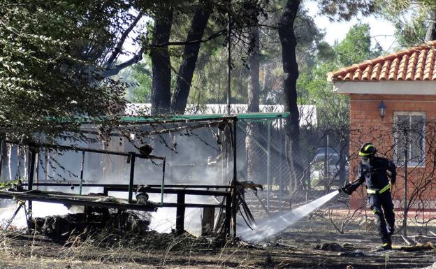 El fuego arrasa varias parcelas entre las casas junto a un pinar en La Pedraja de Portillo