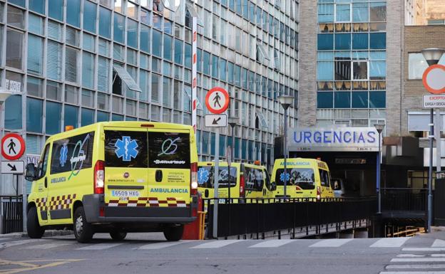 Herido un hombre tras ser golpeado en la cabeza por la rama de un árbol mientras se encontraba en una terraza en Salamanca