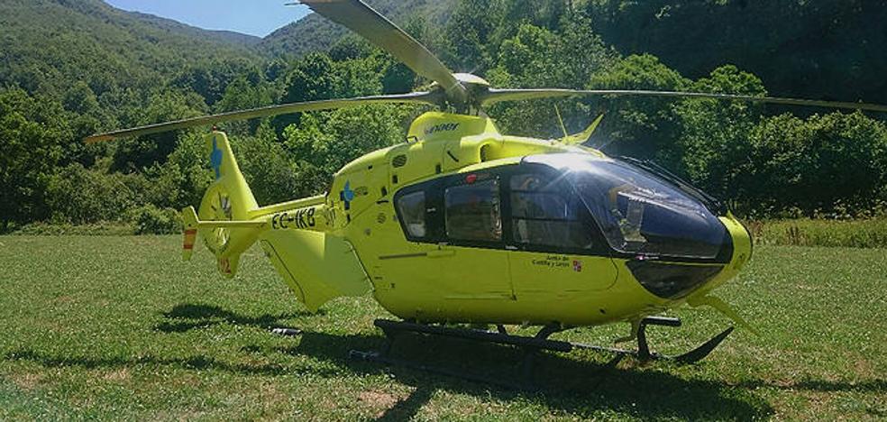 Herida Una Mujer Tras Caersele Encima Su Caballo Desbocado En Covarrubias El Norte De Castilla