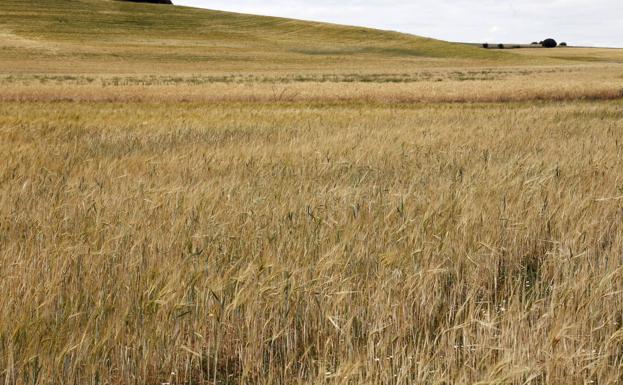 El agro afronta los retos ambientales