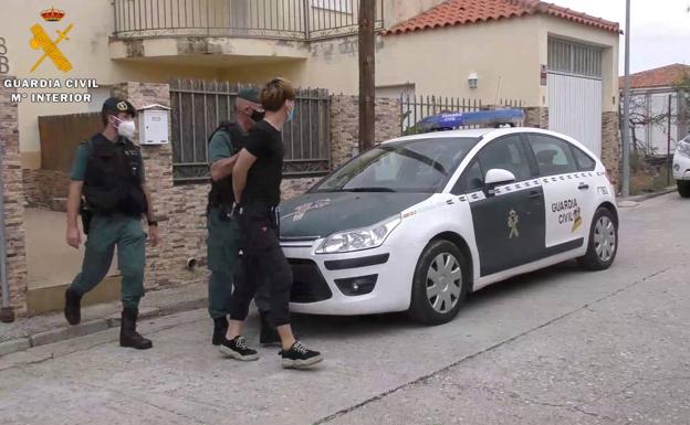 Cae un peligroso grupo criminal experto en el cultivo de marihuana que acumulaba 1.267 plantas en una finca de El Espinar