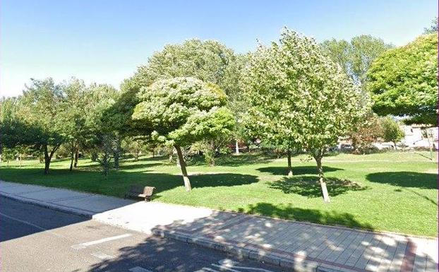 Denunciados 10 jóvenes reunidos en un parque de Valladolid por no llevar mascarilla