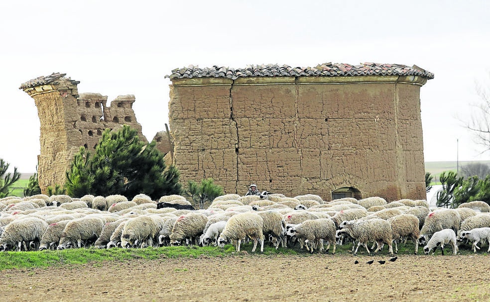 Valle de Retortillo: colocadas como un rosario a lo largo del cauce del Retortillo