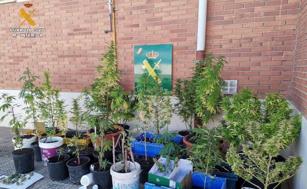 Detienen a seis personas como presuntos autores de varios delitos de tráfico de drogas en Palencia