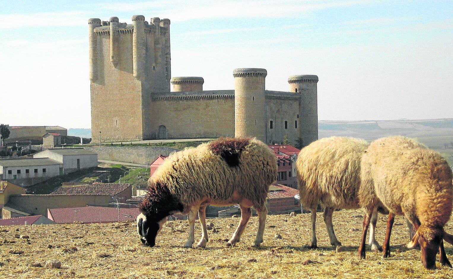 Torrelobatón: historia comunera cincelada en piedra