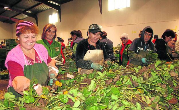 La provincia se prepara para la llegada de 900 temporeros más en plena pandemia