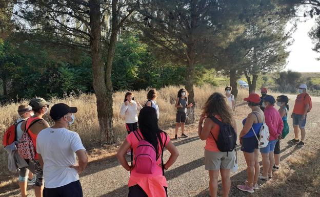 La asociación Villalón Vive organiza «baños de bosque» para reconectar con la naturaleza