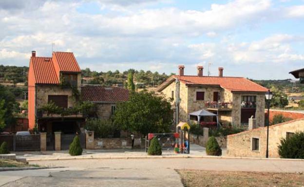Agentes de Medio Ambiente y del Seprona retiran aves muertas de un huerto que se utilizaban para ahuyentar a otros pájaros