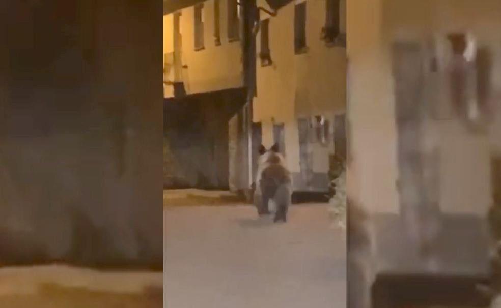 Un oso por las calles de la localidad leonesa de Caboalles