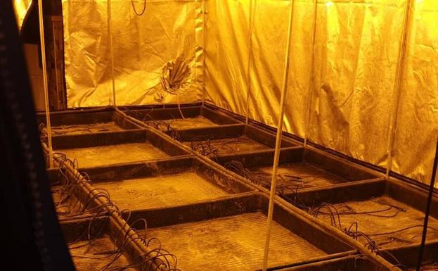 La Policía desmantela una instalación de de marihuana en Medina del Campo