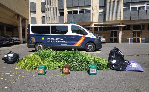 La Policía interviene en una vivienda de Salamanca dedicada al cultivo de marihuana