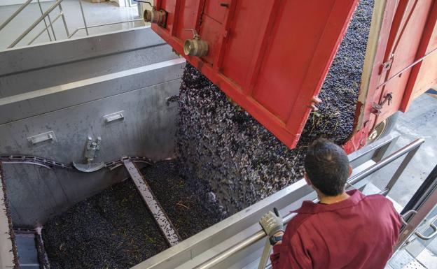 De Cubillas de Santa Marta al mundo vestidos de rosa
