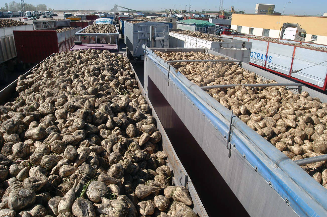 Acor prevé abrir la planta de Olmedo la segunda semana de octubre