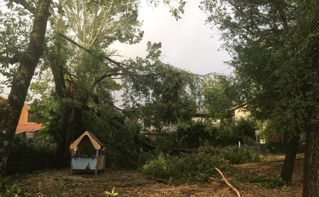 La Alberca pedirá la declaración de zona afectada por tempestad ciclónica atípica