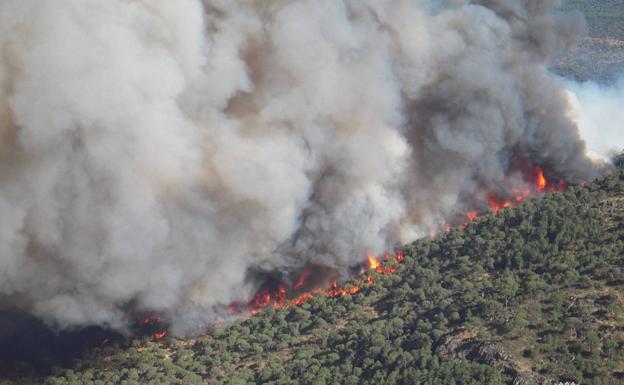 Extinguido un incendio declarado ayer en Bogajo tras quemar más de 16 hectáreas de arbolado