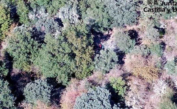 Evacuada en helicóptero una joven que sufrió una reacción alérgica en una ruta de senderismo de Villanueva del Conde