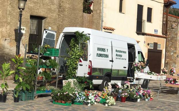 El Ayuntamiento de Sotoserrano permite la venta ambulante de alimentación y viverismo durante octubre