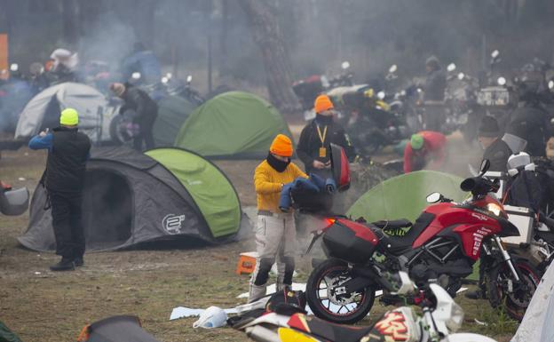 Pingüinos 2021 decidirá sobre su desarrollo a mediados del mes de octubre