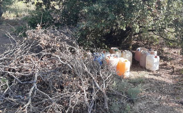 La Guardia Civil detiene a cuatro personas tras desmantelar una plantación de marihuana en Soria
