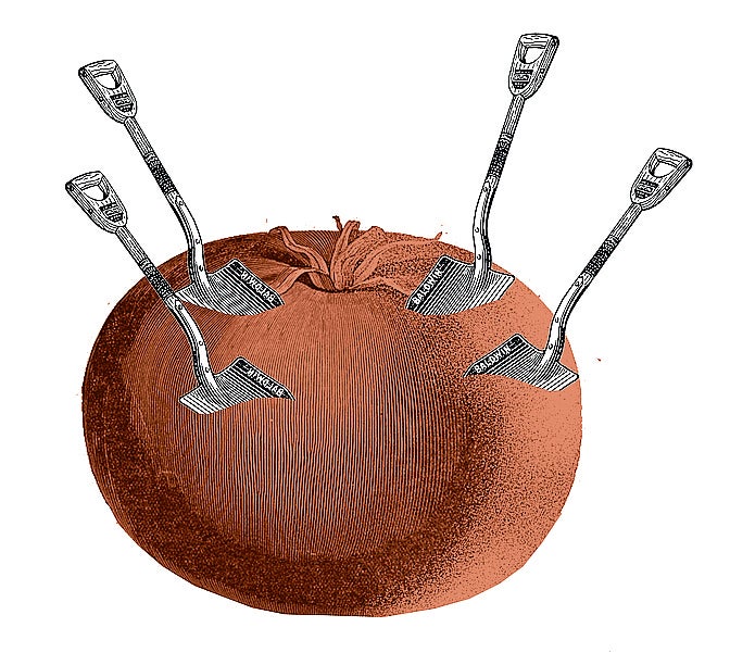 Noticias del minifundio