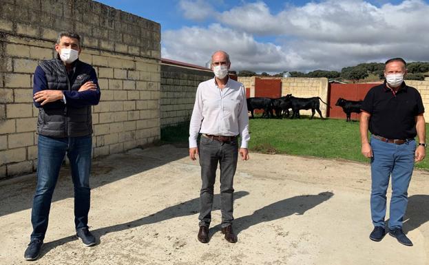 La Salina contribuye a salvar la morucha de capa negra, en peligro de extinción en Salamanca