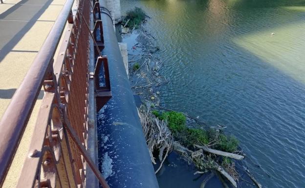 Los troncos ciegan cuatro de los ojos del Puente Mayor de Valladolid sin fecha para su retirada