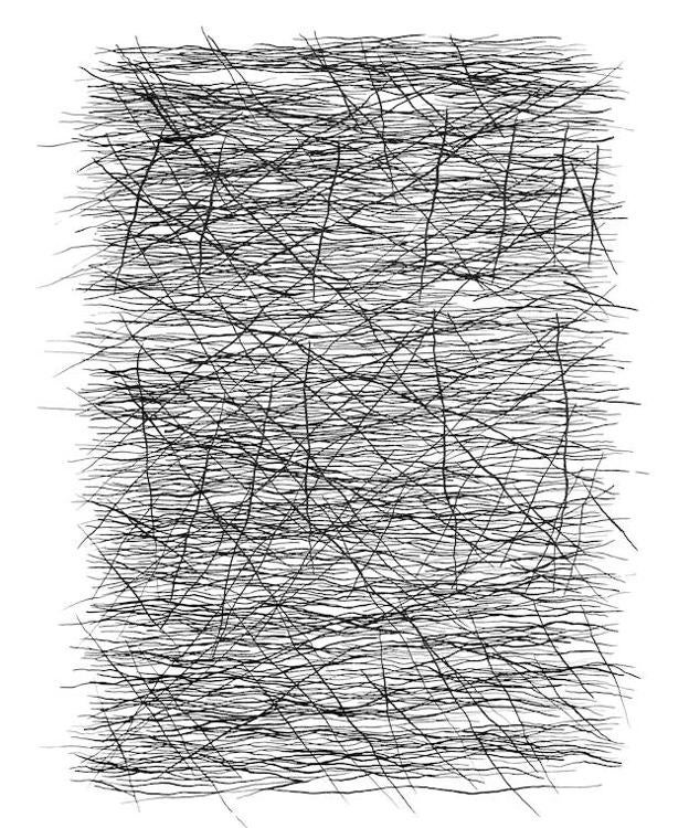 Renuncias en el camino