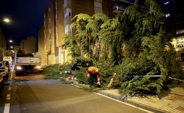 El Ayuntamiento de Salamanca cierra parques y la zona arbolada de La Aldehuela ante el aviso de fuertes rachas de viento