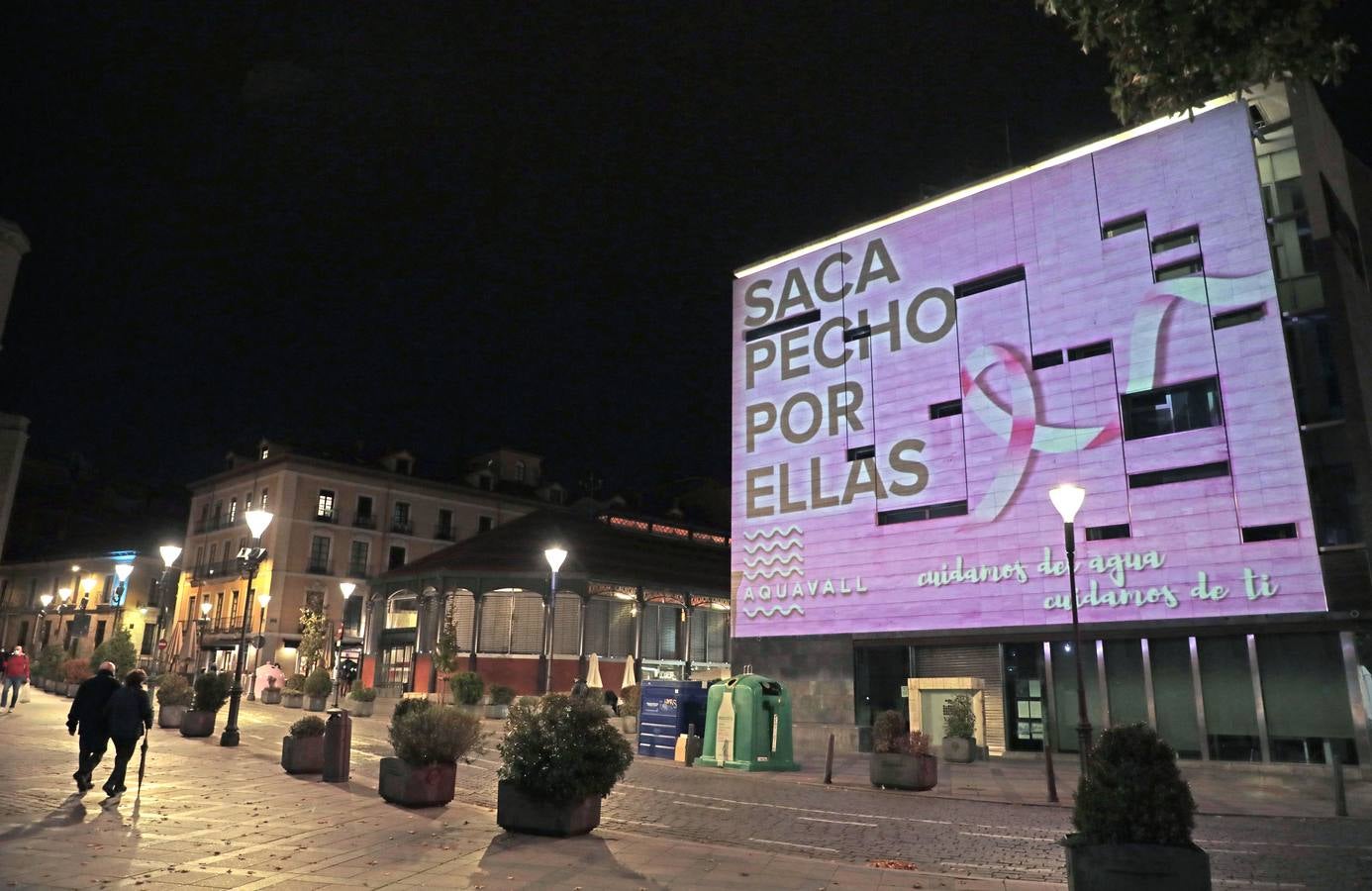 Valladolid se viste de rosa