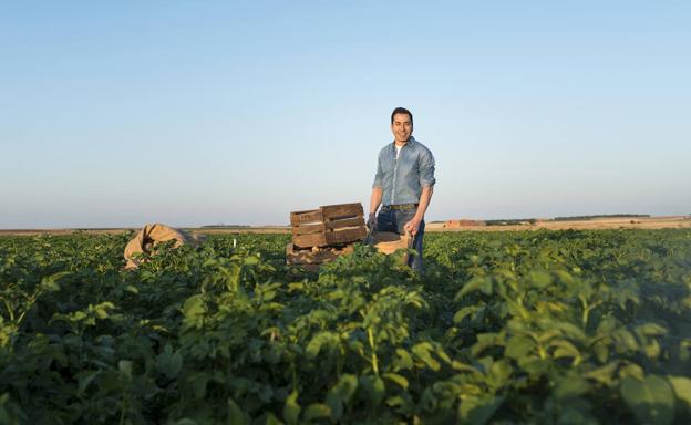 «La verdadera clave es tratar la patata con cuidado, como si fuera una fruta»