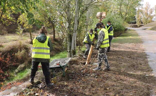 Voluntarios de Cuenca de Campos instalan 99 nidos para gorriones