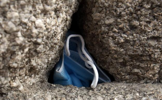 Patosos y patógenos