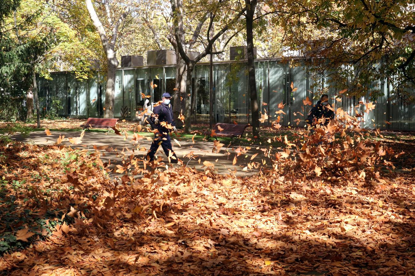 Otoño en Valladolid